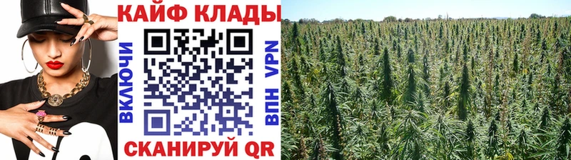 Купить наркоту Канаш KRAKEN зеркало Меф ГАШ