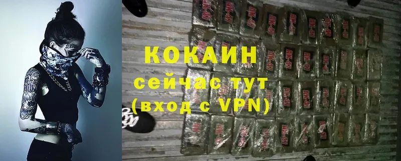 COCAIN Эквадор  ссылка на мегу ССЫЛКА  Канаш  купить наркотики цена 