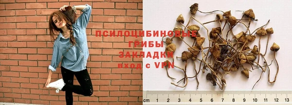 кокаин перу Белокуриха
