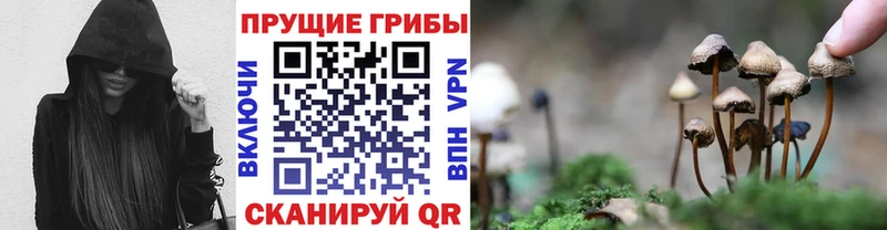 Галлюциногенные грибы Cubensis  Канаш 