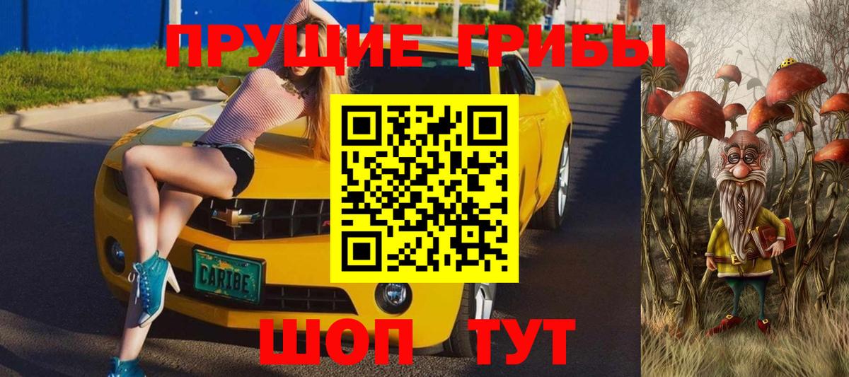 Псилоцибиновые грибы Cubensis Канаш