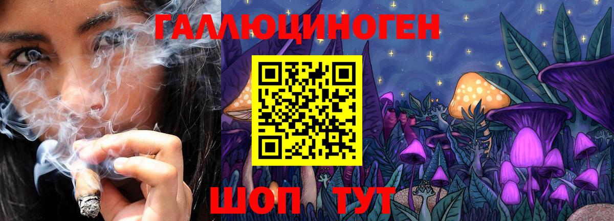 Псилоцибиновые грибы мухоморы  Вход с VPN  купить закладку  Канаш 