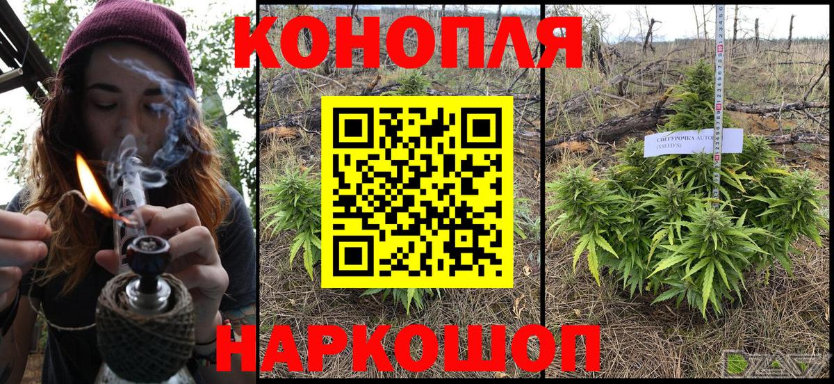МАРИХУАНА конопля  Конопля VHQ  Вход с VPN  Канаш  Бошки марихуана White Widow 